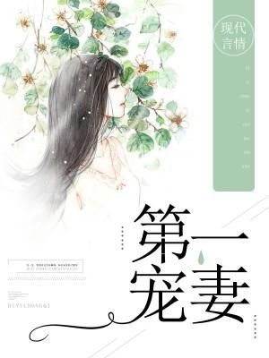 第一寵妻