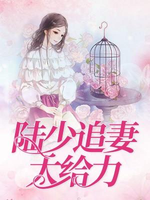 陸少追妻太給力