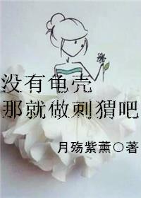 沒有龜殼那就做刺猬吧