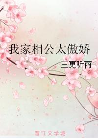 我家相公太傲嬌