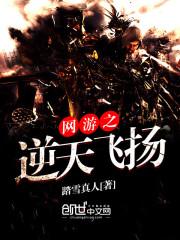 網游之逆天飛揚