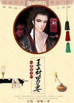 重生之王府男妻