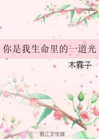 你是我生命裏的一道光