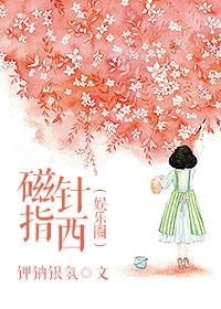 磁針指西（娛樂圈）