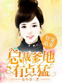 狂寵追妻：總裁爹地有點猛