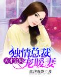 天才寶貝：獨情總裁寵暖妻
