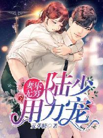 妻樂無窮：陸少，用力寵
