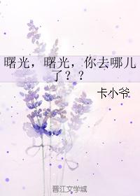 曙光，曙光，你去哪兒了？？