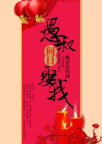 愚叔何日娶我？