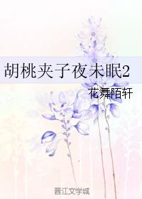胡桃夾子夜未眠2