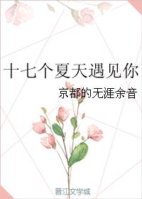 十七個夏天遇見你