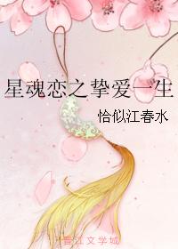 星魂戀之摯愛一生