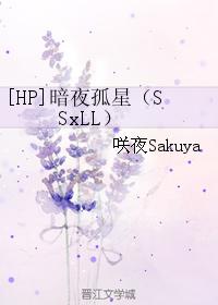 [HP]暗夜孤星（SSxLL）