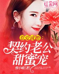 惹愛成婚：契約老公甜蜜寵