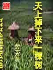 天上掉下來一棵樹