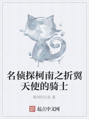 名偵探柯南之折翼天使的騎士