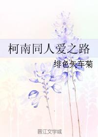 柯南同人愛之路