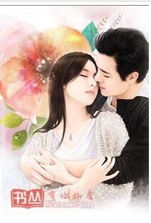 無奈隐婚：小叔叔請自重