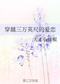 穿越三萬英尺的愛戀