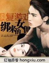 報複游戲：綁來的女傭