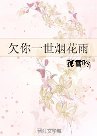 欠你一世煙花雨