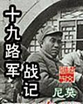 十九路軍戰記