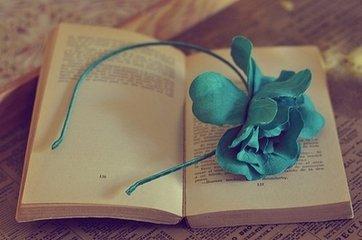 墨染流年遲不歸