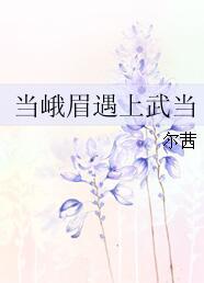 當峨眉遇上武當