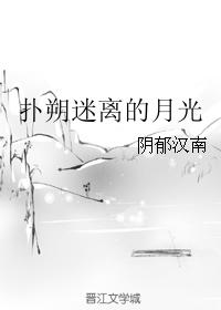 撲朔迷離的月光
