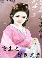 重生之奸臣寵妻