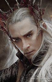 [霍比特人+指環王]大王求放過