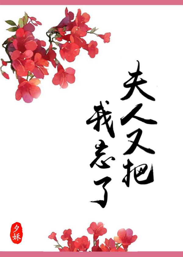 夫人又把我忘了