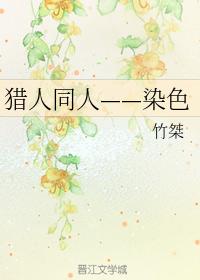 獵人同人——染色