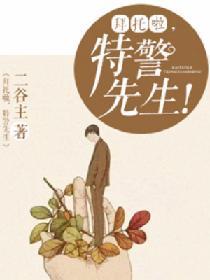 拜托啦，特警先生！