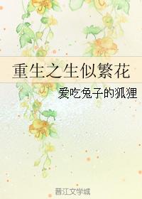 重生之生似繁花
