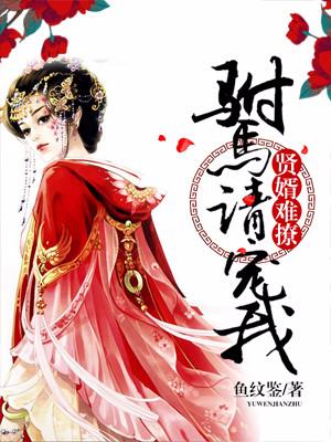 賢婿難撩：驸馬請寵我