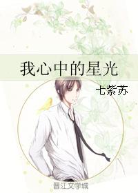 我心中的星光