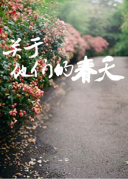 關于他們的春天