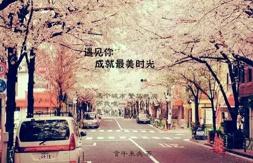 遇見你成就最美時光