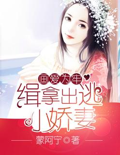 畫愛為牢：緝拿出逃小嬌妻