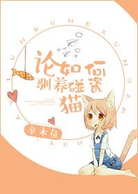 論如何馴養碰瓷貓