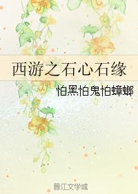 西游之石心石緣
