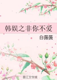 韓娛之非你不愛