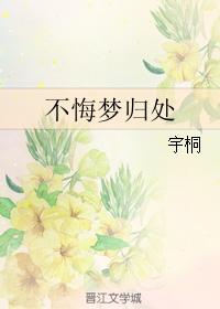 不悔夢歸處