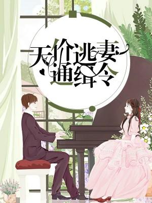 天價逃妻通緝令