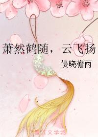 蕭然鶴随，雲飛揚