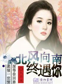 北風向南終遇你