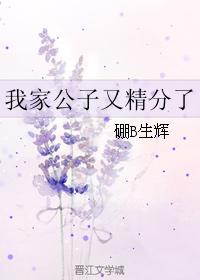 我家公子又精分了