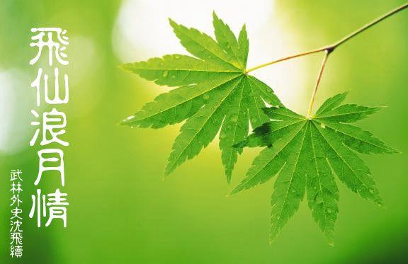 飛仙浪月情