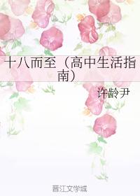 十八而至（高中生活指南）